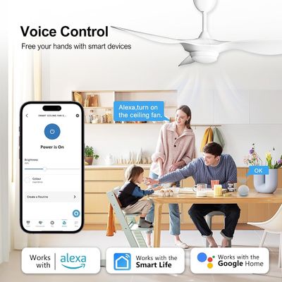 6 Speed 52 Inch Ceiling Fan Lighting With Remote Voice And APP Control