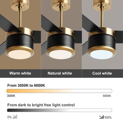 Smart WIFI Ceiling Fan In White Black Gold 52 Inch Full Brightness
