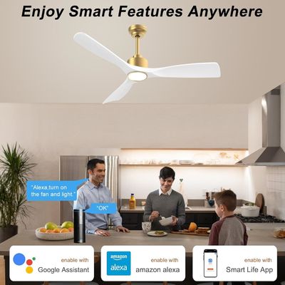 52 Ceiling Fan With Dimmable Light ABS Warm White Natural White Cool White