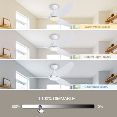 56 Inch Silent Ceiling Fan with DC Motor and Lighting