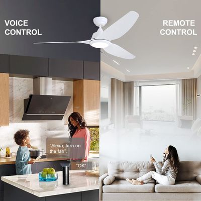 56 Inch Silent Ceiling Fan with DC Motor and Lighting