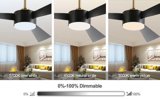 Smart Energy Saving 52 Inch Ceiling Fan Lighting In Black