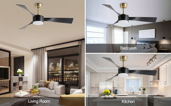Smart Energy Saving 52 Inch Ceiling Fan Lighting In Black