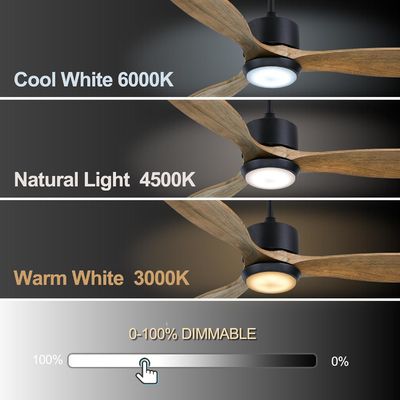 Modern  52 Inch Fan With Light For 12 Ft* 12 Ft To 17ft * 17 Ft Room