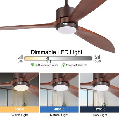 65 Contemporary Ceiling Fan Light with Voice Control and Dimmable LED Light