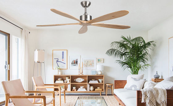 Smart Ceiling Fan with Light Quiet and Energy Saving 6-Speed Choice Alexa/Google Home Compatible