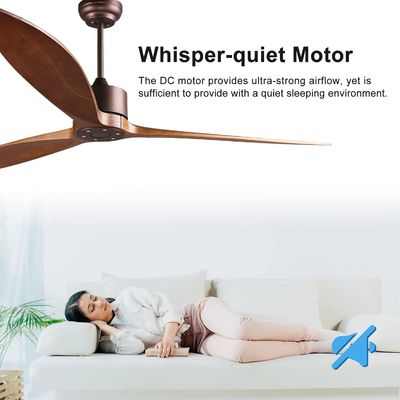 6 Speed Alexa Voice Control ABS Smart DC Motor Ceiling Fan with Lighting in Gold Black White