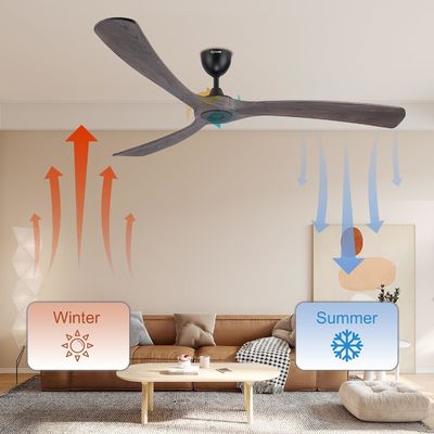 Quiet Energy Saving 6 Speed Smart Ceiling Fan with Light Controlled by Alexa