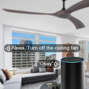 Quiet Energy Saving 6 Speed Smart Ceiling Fan with Light Controlled by Alexa