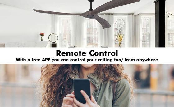 Quiet Energy Saving 6 Speed Smart Ceiling Fan with Light Controlled by Alexa
