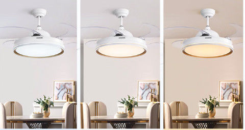 6-Speed DC Motor Retractable Ceiling Fan with Light
