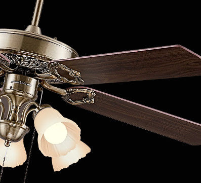 Modern Energy Saving DC Quiet Motor Ceiling Fan Light with Alexa Google Home Smart Life 6 Speed Choice