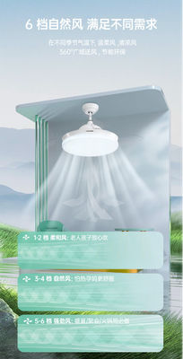 Gold Accented Intelligent Ceiling Fan with LED Lights and Voice Control